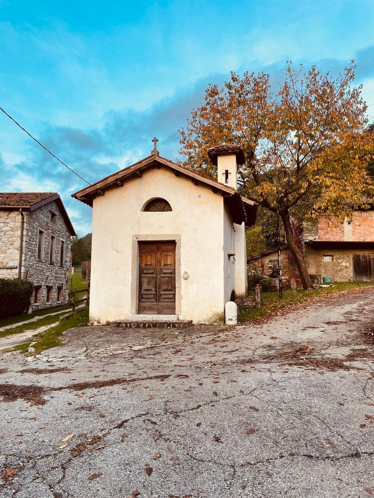 Il Bosco